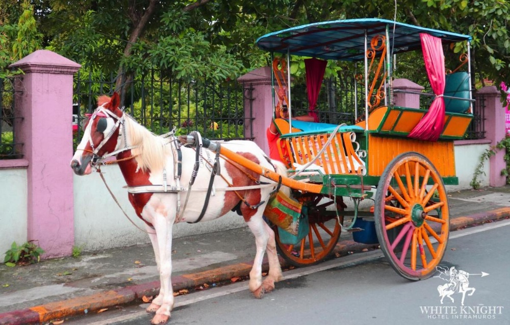 White Knight Hotel Intramuros Image 18