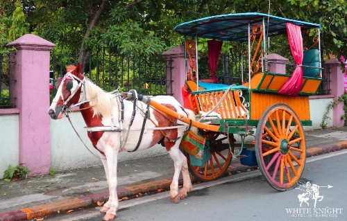 White Knight Hotel Intramuros image 18